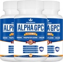 15-in-1 Alpha GPC tillæg med Phosphatidylserin, Uridin, L- Theanine, Lions Mane Mushroom, 180 Kapsler