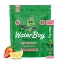 Waterboy Workout Hydration • 124; 2,960mg Sugar Free Electrolyte Powder Packets • 124; L- Glutamin + Vitamin • 124; No Sugar, All Natural, Gluten Free • 124; 15 Drink Stick Mixes (Strawberry Lemonade)