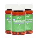 CAW Nano Cycloastragenol 5Mg | Telomere Length Anti-Aging | DNA Repair Cell Health | 30 Enteric-Coated Capsules (3 Bottles