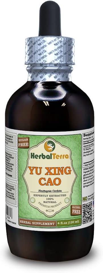Yu Xing Cao (Houttuynia Cordata) Glycerit, Tørret Herb Alkohol- Free Liquid Extract (Brand Name: HerbalTerra, Stolt Made in USA) 4 fl.oz (120 ml)