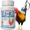 Farmalab B12 B15 til Roosters B15 B12 para Gallos 100 tabletter