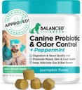 Balanceret Breed Hund Probiotika fordøjelsessygdomme Enzymer Lavet i USA Vet- Pharmacist Godkendte Fortiflora Probiotika Hunde Anti Gær Kosttilskud Forstoppelse Relief Hund Gær Itchy Hud Itchy Ører Non-GMO