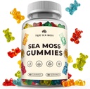 TrueSeaMoss Irish Sea Moss Gummies med Burdock Root & Bladderwrack - Vegansk Formel for voksne & Børn - Non-GMO, Gelatin- fri, Fruit Flavor - Made in USA - 60 Gummies