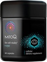MitoQ + Eye Advanced CoQ10 Antioxidant - Indeholder Mitoquinol Mesylat, Lutein, Zeaxanthin, Bilberry, Maritime Pine Bark - Understøtter Eye sundhed, Blå lys Filtration & Cell Vitality (60 kapsler)