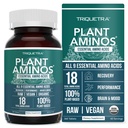 Plante Aminos Organic Essential Amino Acid Supplement (EAA) & BCAA - 100% Plantbaserede Rå, Vegan - Alle 9 Essentielle Aminosyrer med 18 Total Aminosyrer (360 tabletter)