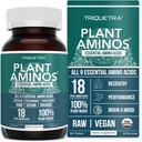 Plante Aminos Organic Essential Aminosyrer (EAA) & BCAA - 100% Plantbaserede Rå, Vegan - Alle 9 Aminosyrer med 18 Total Aminosyrer (360 tabletter)