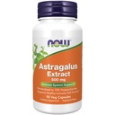 Now Foods immunsupporttilskud, Astragalus Extract 500 mg (Standardiseret til 70% polysaccharider), 90 Veg kapsler