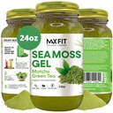 Sea Moss Gel Matcha Green Tea 24oz Wildсrafted Gold Sea Moss Gel fra Saint Lucia