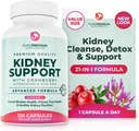 PurePremium Nyre Support Supplement - Nyre Rengøring Detox & Reparation med Cranberry Extract & Astragalus - 21-in-1 Kompleks Understøtter normale Brege, urinveje & Nyrer Sundhed - 120 dages forsyning