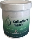 Gallaghers Water Balanced Electrolytes and Trace Minerals for Heste, 1LB