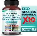 Sea Moss Black Seed Oil Ashwagandha Ginger Burdock Bladerwrack - Immunity Support - Made in USA
