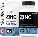 Renew Actives Zink Kosttilskud 50MG per servering - Essential for immunforsvar, stærke knogler & fremme sundt hår, negle & glødende hud til daglig brug - Lavet i Canada - 250 tabletter