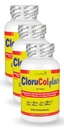 Supplement