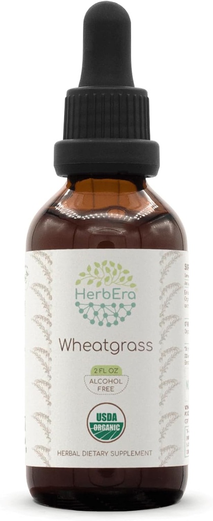 HerbEra Wheatgrass B60 USDA Organic Tincture Yester124; Alkoholfri ekstrakt, højpotens Herbal Drops, flydende supplement; 124; Certificeret Organic Wheatgrass (Triticum aestivum) Tørret Leaf (2 oz)