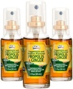 Beelife Propolis Halsen Spray- Lindrende honning & Ginger Propolis Spray- Naturlig immunforsvar & Bee Propolis Ekstract- Antioxidanter, Rig i flavonoider & artepillin, Ingen sukker, Gluten- Free- 3- Pack, 90ml