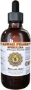 Hawaii iPharm Spirulina Liquid Extract, Organic Spirulina (Arthrospira platensis) Tinktur, Herbal Supplement, Lavet i USA, 2 fl.oz