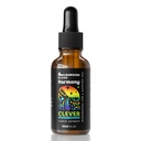 6 Blend Mushroom Liquid Extract, US Grown Mushrooms Alkohol fri, Natural Energy, Cognitive Support, Immunity Boost, 100% Fruit Boost, Lions Mane, Cordyceps, Reishi, Chaga, Tyrkiet Tail (1 fl oz)