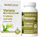 Herbseverly Varuna Nurvala Extract Capsules - Vegan & Gluten Free Budd124; Plant Based Supplement for Brege & Nyre Function, 800 mg per kapsler (60 No)