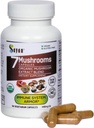 Sayan 7 Mushroom Extract 90 Kapsler / 440mg ea - Immunitet Support & Energy - Organic Chaga, Reishi, Lions Mane, Maitake, Shiitake, Tyrkiet Tail Adaptogen Blend - Vegan, Non- GMO, Ingen Fillers eller Tilsætningsstoffer
