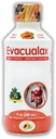 Senna Liquid Laxative for voksne & Børn - Papaya Flavor, Natural Senna Leaf & Prune - Afføring blødgøringsmiddel til obstipation Relief - Urtesyrup til tarmstøtte, fordøjelsesrense - 8oz