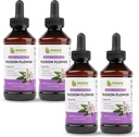 Maxx Herb Passion Flower Extract - Max Strength Passion -Flower Liquid Absorbs Bedre end kapsler, for afslapning og stress Relief, Alkoholfri - 4 flasker, 4 Oz Hver (240 Servere)