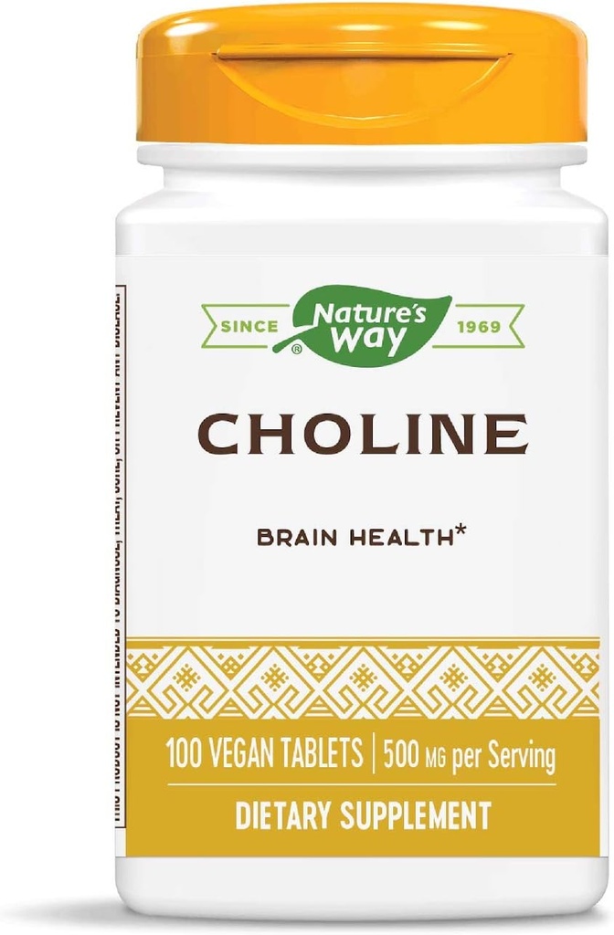 Nature's Way Choline, 500 mg per serving, 100 Tablets (Pack of 2)
