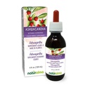 Naturalma Ashwagandha (Withania somnifera) Root Alkohol- Free Tincture - 4 fl oz Liquid Extract in Drops - Herbal Supplement - Vegan
