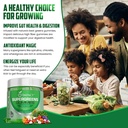 Supergreens Veggies Gummies - Vegetarisk Fiber Gummies for voksne & Børn - Daglige grønne superfødevarer med 35 + Væsentlige Vitamin & Support Immunitet & Gut Sundhed - 4g Fiber per To Gummy (60 Greve)