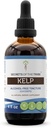Hemmeligheder i Tribe Kelp Tincture Alkohol- Free Liquid Extract, Kelp (Ascophyllum nodosum) Tørret plante (4 FL OZ)