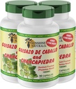 Sunshine Naturals Guisazo & Chancapiedra Herbal Blend, Natural Dietary Supplement for Wellness Support, 90 kapsler. Pakning med 3