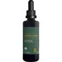 Global Healing Center - Organic Ashwagandha Kosttilskud Drops - KSM- 66 Ashwagandha Ekstra styrke til mænd og kvinder, Hjælper Promote Relief fra Stress, Mood Support, Organic (2 Fl Oz)