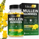 Mullein Gummies for Lung Detox, 2000mg Mullein Leaf Extract for Respiratory & Digestive & Immune Support w/Quercetin, Bromelain, Elderberry & Marshmallow, Vegan 120 Gummies (1 bottle 60 gummies) (1)