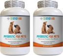 hund probiotiske fordøjelsesenzymer - PET PROBIOTIC - DOGS OG KAT - DIGETIVE BOOST - GET RID AF BAD BREATH OG STOP DIARRHEA - Lactobacillus salivarius probiotic - 2 flasker (120 Treatles)