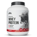 Niveauer Græs Fed Whey Protein Powder, Ingen artificials, 24G Protein, Jordbær, 5LB