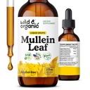 Wild & Organic Mullein Drops til Lungs - Lung Detox og Cleanse - Flydende Mullein Leaf Tinktur med Echinacea & Lakrids Root - Vegan, Sugar & Alcohol- Free Extract Supplement - 2 fl oz