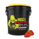 COLOSSAL LABS Muscle Protein Whey Powder [12 lbs / pakke med 1] - Cold Filtered, 25g Pure Protein, 6.6g BCAA (Packaging May Vary) (12LB, Strawberry)