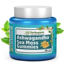HERBOGANIC Ashwagandha Sea Moss Gummies - 60 Greve