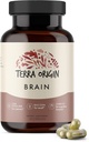 Terra Oprindelse, sund hjerne supplement, kapsler, 30 Servering, med CDP Cholin, Ginkgo Biloba Extract, og Bacopa - for sundt sind, Forbedrer hukommelse, recall og funktion