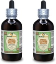 Lille blomst Willow (Epilobium parviflorum) Glycerit, Tørret Herb Alkohol- Free Liquid Extract (Brand Name: HerbalTerra, Stolt Made in USA) 2x4 fl.oz (2x120 ml)
