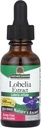 Naturen? s Svar Lobelia Herb Lobelia Inflama - Natural Herbal Supplement - Gluten Alkohol- Gratis - Ideel til immunitet Samlet sundhed velvære? 690mcg (1 FL Oz)