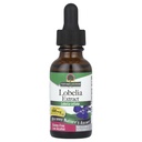 Naturen? s Svar Lobelia Herb Lobelia Inflama - Natural Herbal Supplement - Gluten Alkohol- Gratis - Ideel til immunitet Samlet sundhed velvære? 690mcg (1 FL Oz)