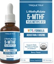 Organic Kids Methylfolate + Methyl B12 Cofactor - Organic Berry Flavor, Sublingual Form - 5- MTHF Form, Superior Form of Folate - Justerbar dosering for alle aldre - Mood, Behavior, Cognition - 1 oz.