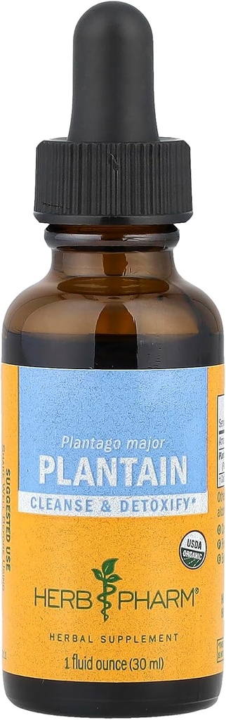 Herb Pharm Certified Organic Plantain Liquid Extract til rensning og afgiftning - 1 Ounce (DPLAN01)