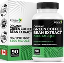 Renew Actives High Potency Green Coffee Bean Extract - 800mg per Serving Green Coffee Bean Extract med 50% chlorogen syre til antioxidant fordele - Lavet i Canada - 90 Veganske kapsler