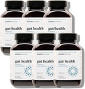Smarter Nutrition Gut Health Probiotika med Prebiotika - 100% Soil- baserede Strops med MCT Oil til fordøjelse, immunsundhed, Gut Microbiome - Vegetar - 360 Greve (Pack of 6) - 180 -Day Supply