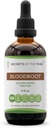 Hemmeligheder ved Tribe Bloodroot Tincture Alkohol Extract, Responsible opdrættede Bloodroot (Sanguinaria Canadensis) Tørret rod (4 FL OZ)