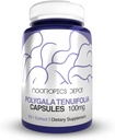 Nootropics Depot Polygala tenuifolia Kapsler 124; 100mg Measures 124; 90 Count Measures 124; 20: 1 Extract Measures 124; Yuan Zhi Measures 124; Promoes Cognitive Function, Learning and Memory Measures 124; Understøtter sund Stress Levels Measures 124; Adaptogen Supplement