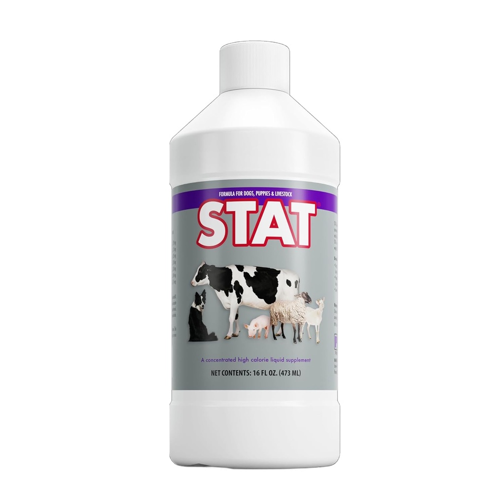 PRN Pharmacal STAT - High Calorie Nutritional supplement til at hjælpe med at genoprette hydrering og ernæring niveauer i dyr - Vanilla Smagsstof Kosttilskud med vitamin A, D3, C, E, & Mere - 16 Fl Oz
