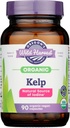OREGONS Wild Harvest Organic Kelp, 90 CT