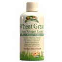 Have Grønne Hvede Græs Flydende med Real Ginger Extract, Nature 's Perfect Superfood, 32 portioner